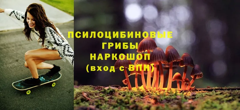 Псилоцибиновые грибы MAGIC MUSHROOMS  Армянск 